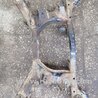 Подрамник Subaru Impreza GD/GG