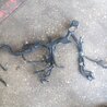 Проводка Subaru Impreza GD/GG