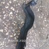 ФОТО Защита для Subaru Outback Киев