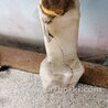 ФОТО Расширительный бачок для Subaru Impreza GD/GG Киев