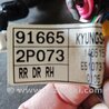 ФОТО Проводка для KIA Sorento Киев