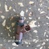 ФОТО Форсунка топливная для Subaru Outback Киев