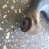 ФОТО Рычаг подвески для Subaru Outback Киев