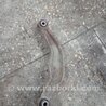 Рычаг подвески Subaru Outback