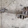 ФОТО Цапфа для Subaru Legacy (все модели) Киев