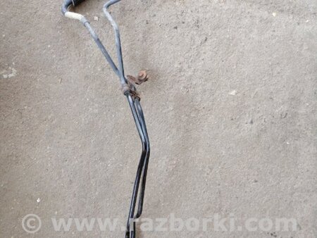 ФОТО Охладитель для Subaru Tribeca Киев