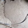 Трос кпп Subaru Outback
