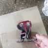 ФОТО Петля двери для Subaru Impreza GD/GG Киев