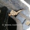 ФОТО Бампер для Subaru Legacy (все модели) Киев