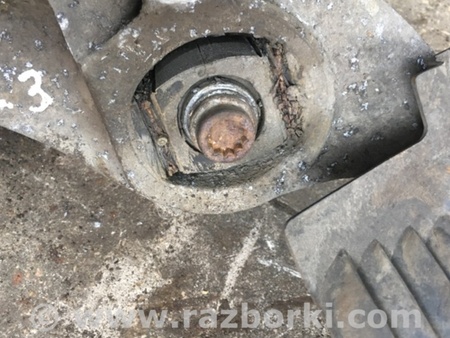 ФОТО Цапфа для Audi (Ауди) Q5 8R (04.2008-03.2017) Киев