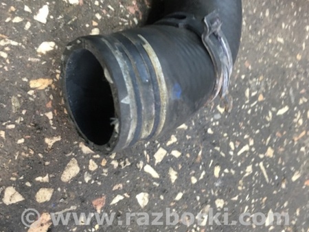 ФОТО Патрубок для Audi (Ауди) A4 B8 - 8K2, 8K5 (08.2007-11.2015) Киев