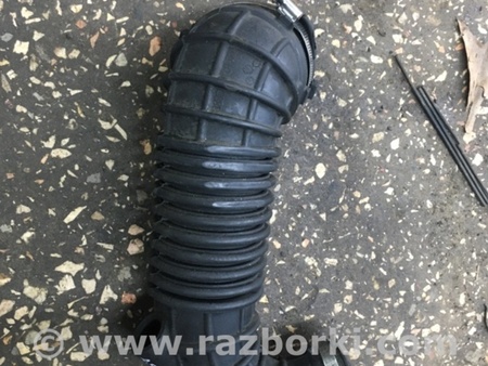 ФОТО Патрубок для Audi (Ауди) A4 B8 - 8K2, 8K5 (08.2007-11.2015) Киев