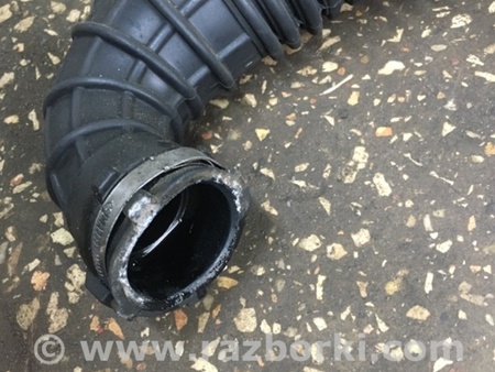 ФОТО Патрубок для Audi (Ауди) A4 B8 - 8K2, 8K5 (08.2007-11.2015) Киев