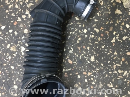ФОТО Патрубок для Audi (Ауди) A4 B8 - 8K2, 8K5 (08.2007-11.2015) Киев