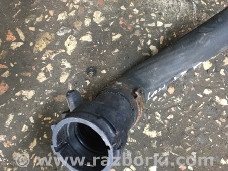 ФОТО Патрубок для Audi (Ауди) A4 B8 - 8K2, 8K5 (08.2007-11.2015) Киев