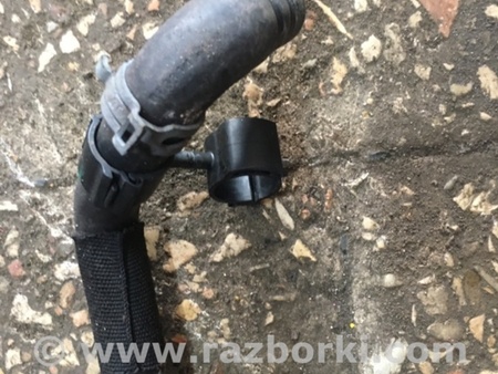 ФОТО Патрубок для Audi (Ауди) A4 B8 - 8K2, 8K5 (08.2007-11.2015) Киев