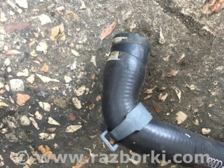 ФОТО Патрубок для Audi (Ауди) A4 B8 - 8K2, 8K5 (08.2007-11.2015) Киев