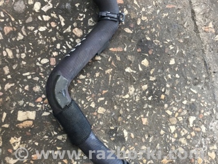 ФОТО Патрубок для Audi (Ауди) A4 B8 - 8K2, 8K5 (08.2007-11.2015) Киев