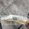 ФОТО Проводка для Subaru Forester SG Киев