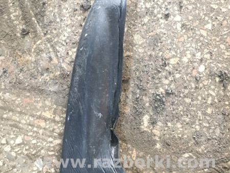 ФОТО Уплотнитель для Subaru Outback Киев
