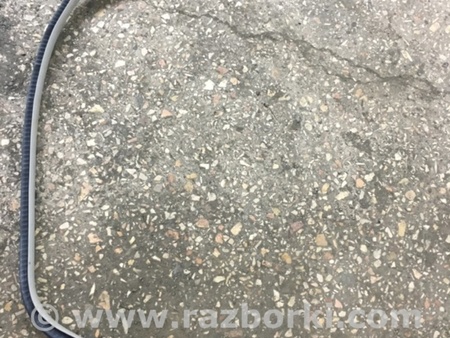 ФОТО Уплотнительная резинка для Subaru Outback Киев