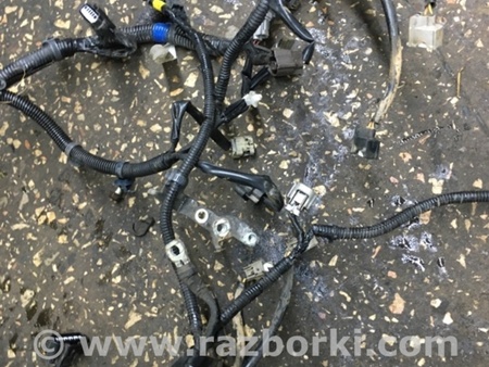 ФОТО Проводка для Subaru Outback Киев