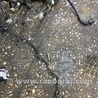 ФОТО Проводка для Subaru Outback Киев