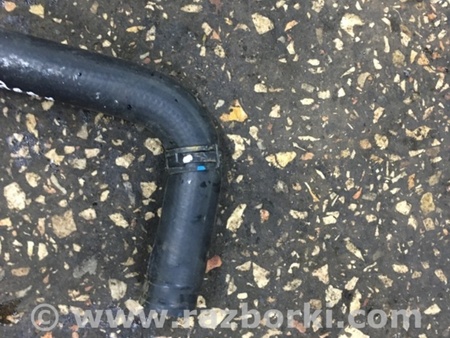 ФОТО Патрубок радиатора для Subaru Outback Киев