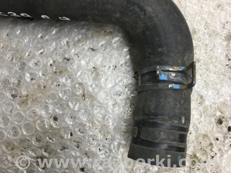 ФОТО Патрубок радиатора для Subaru Forester SG Киев