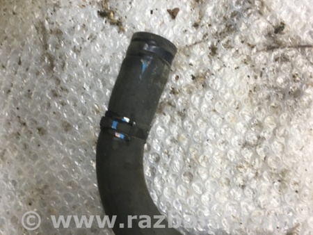 ФОТО Патрубок радиатора для Subaru Forester SG Киев