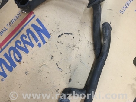 ФОТО Патрубок для Audi (Ауди) A6 C7 (11.2010-10.2018) Киев
