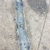 ФОТО Кронштейн для Subaru Outback Киев