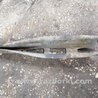 ФОТО Рычаг подвески для Subaru Outback Киев