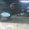 ФОТО Стекло для Subaru Legacy (все модели) Киев
