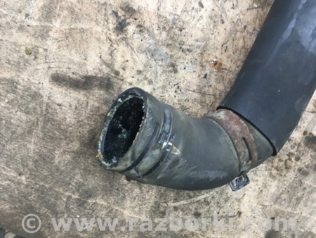 ФОТО Патрубок радиатора для Subaru Legacy (все модели) Киев