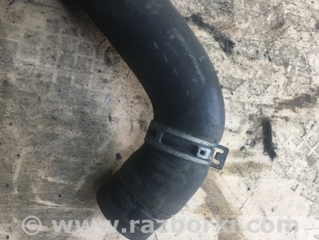 ФОТО Патрубок радиатора для Subaru Outback Киев