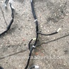 ФОТО Проводка для Subaru Outback Киев