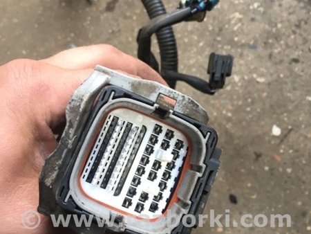 ФОТО Проводка для Subaru Outback Киев