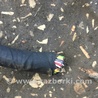 ФОТО Проводка для Hyundai ix35 Tucson Киев