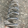 ФОТО Пружина для Subaru Outback Киев
