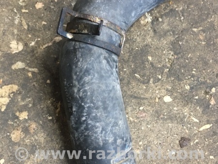 ФОТО Патрубок радиатора для Subaru Outback Киев