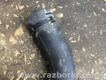 ФОТО Патрубок радиатора для Subaru Outback Киев
