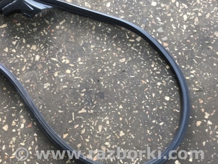 ФОТО Уплотнительная резинка для Subaru Outback Киев