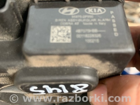 ФОТО Сигнал для KIA Sorento Киев