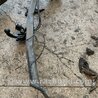 Фаркоп KIA Sorento