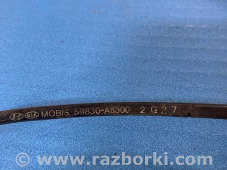 ФОТО Датчик ABS для KIA Ceed Киев