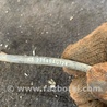 ФОТО Датчик ABS для Subaru Outback Киев