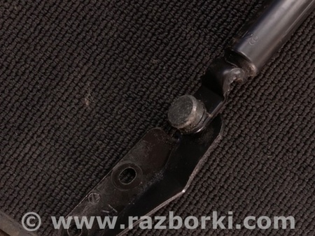 ФОТО Амортизатор багажника для Subaru Outback Киев