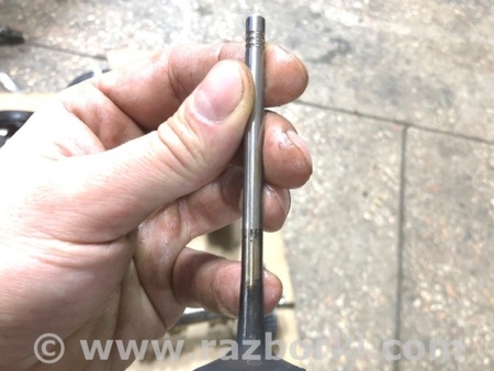 ФОТО Клапан впускной для Audi (Ауди) A4 B8 - 8K2, 8K5 (08.2007-11.2015) Киев