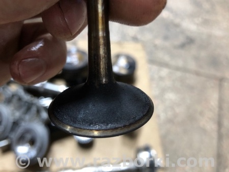 ФОТО Клапан впускной для Audi (Ауди) A4 B8 - 8K2, 8K5 (08.2007-11.2015) Киев